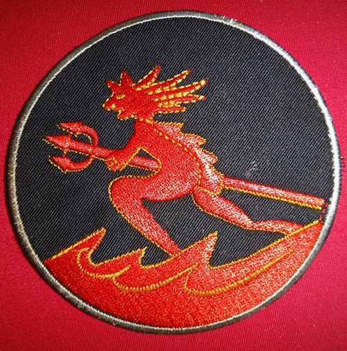 Emblem of the 316th Fighter Squadron.
